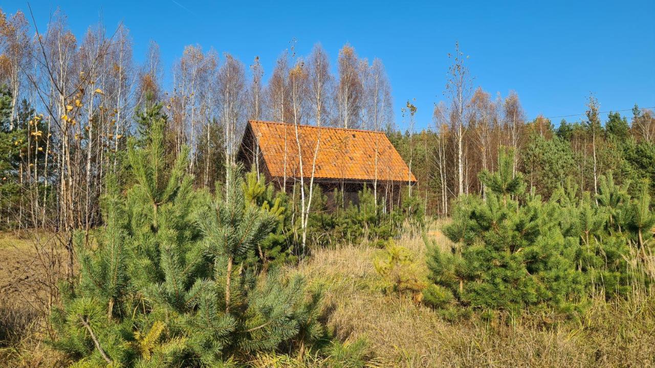 Zakole Czarnej Hanczy Tartaczysko Bagian luar foto