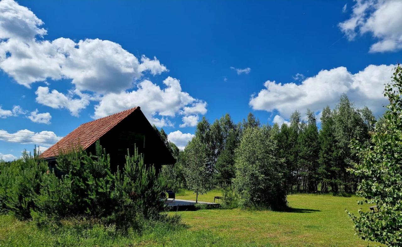 Zakole Czarnej Hanczy Tartaczysko Bagian luar foto